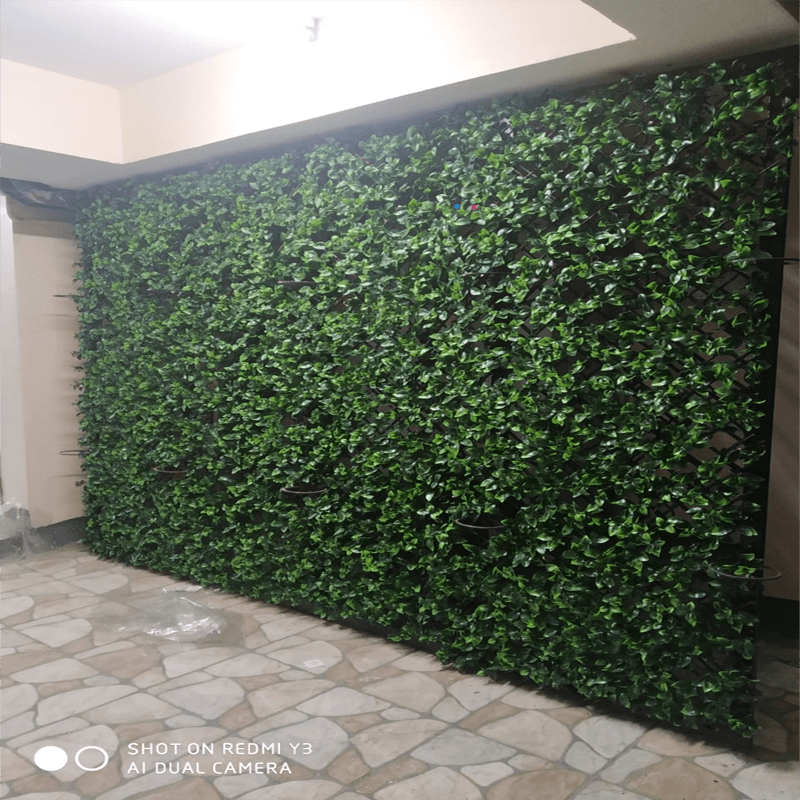 Artificial Grass Image!